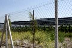 BETON-DİREK-5